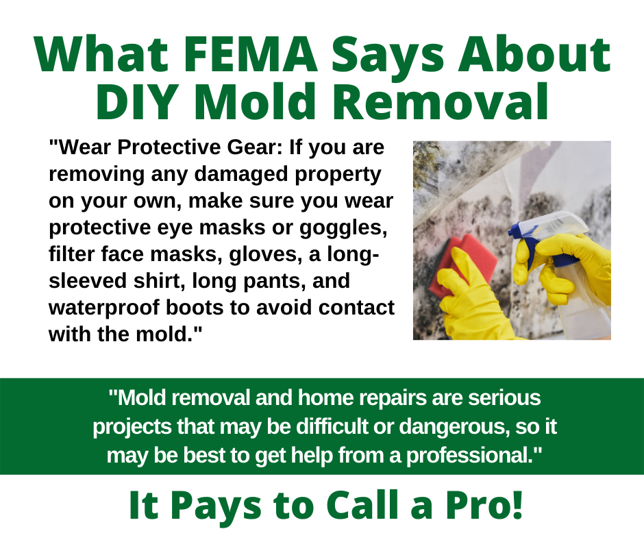 Houston TX – What FEMA Says About DIY Mold Removal