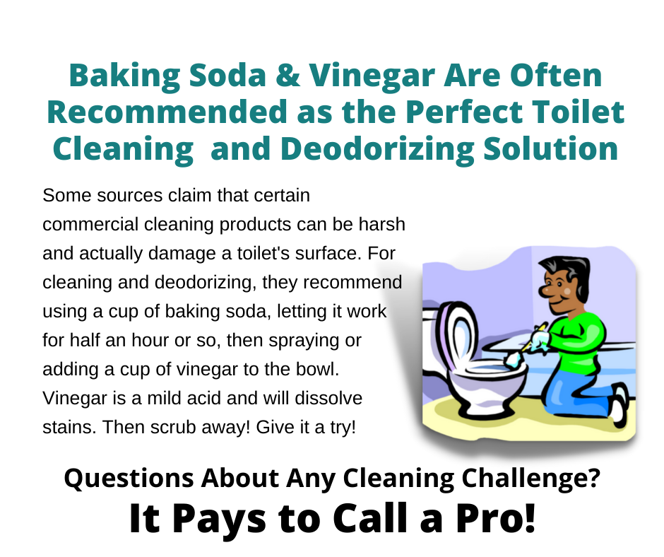 Battle Ground WA - The Perfect Toilet Cleaning Solution