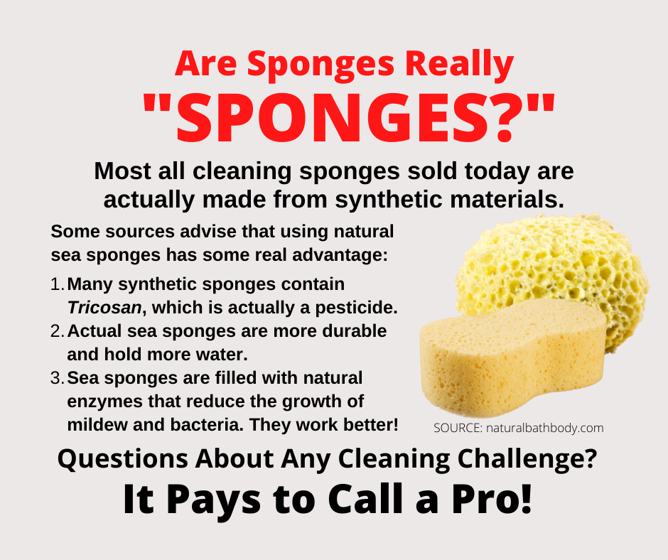 San Ramon CA - Are Sponges Really SPONGES?