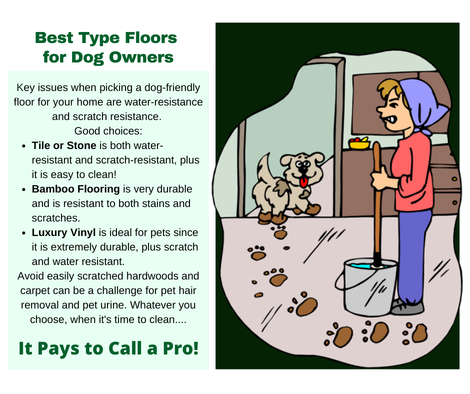 Medford NY - Best Floors for Dogs