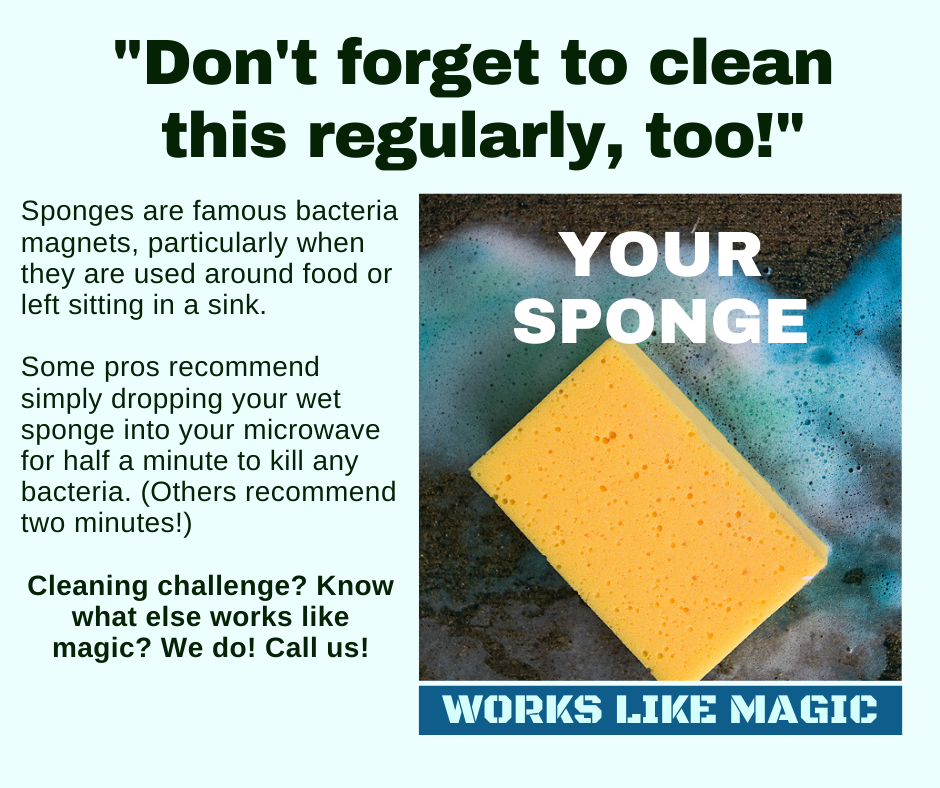 Suffolk County NY - Clean Your Sponge
