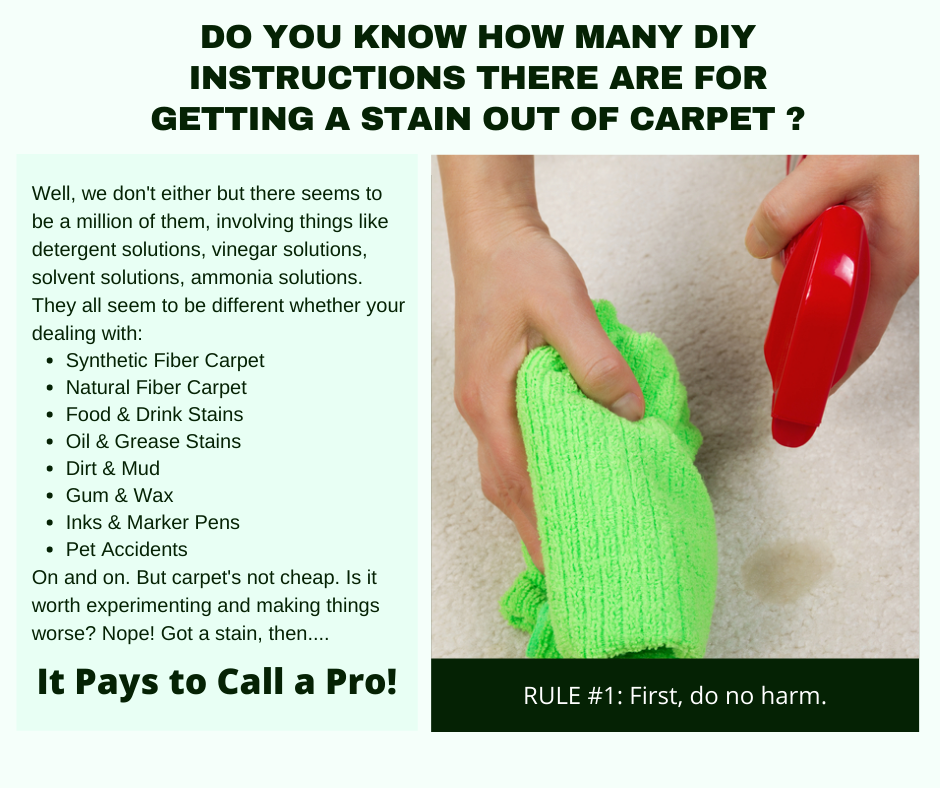 Altamonte Springs FL - DIY Carpet Stain Removal