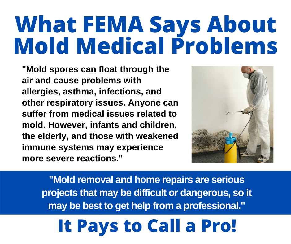 Clearwater FL - What FEMA Says About Mold Medical Problems