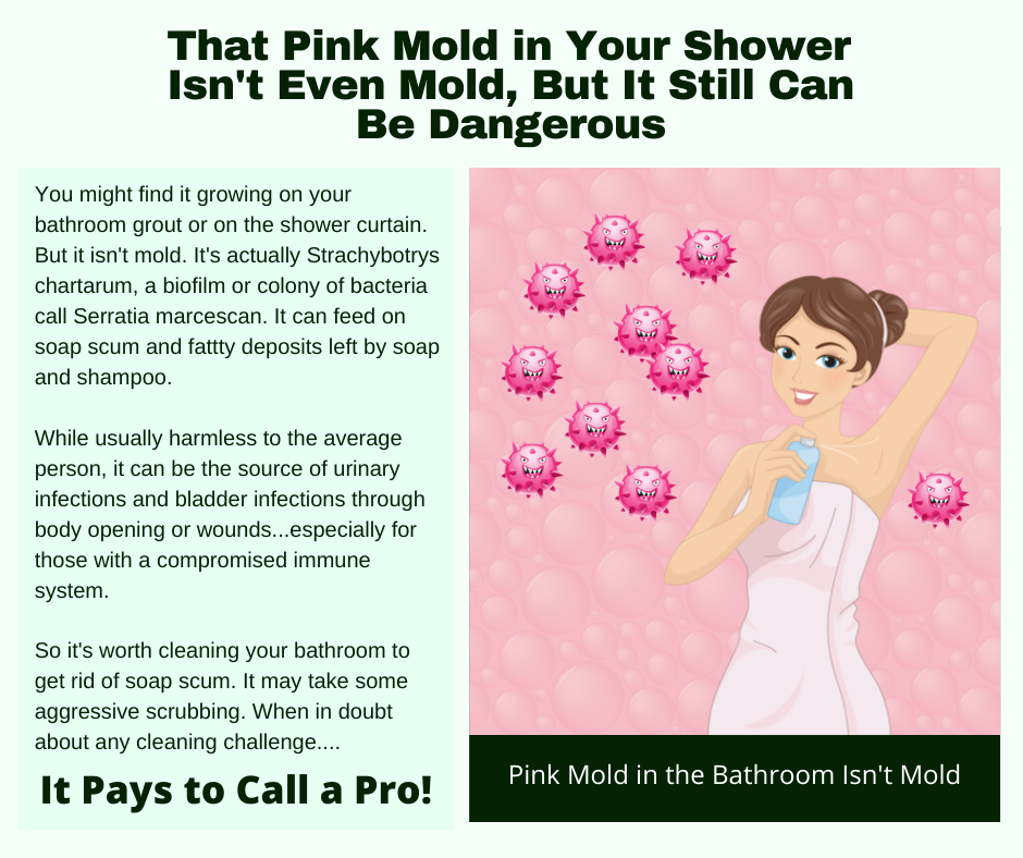 St. Helen CA - Pink Bathroom Mold Isn’t Even Mold