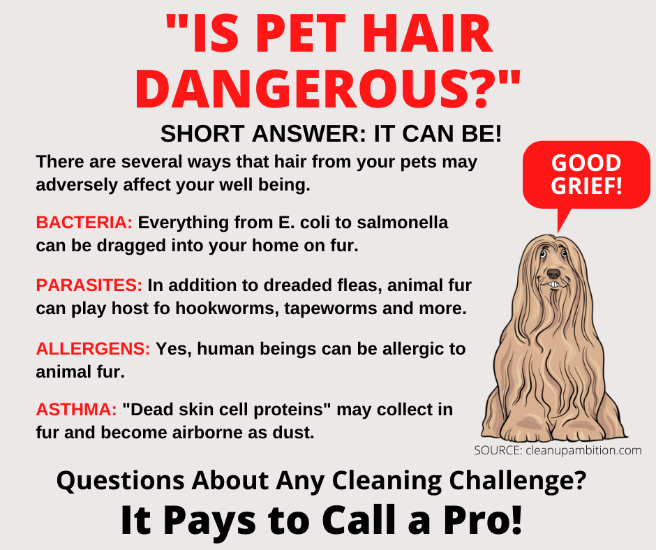 Arlington TX – Is Pet Hair Dangerous?