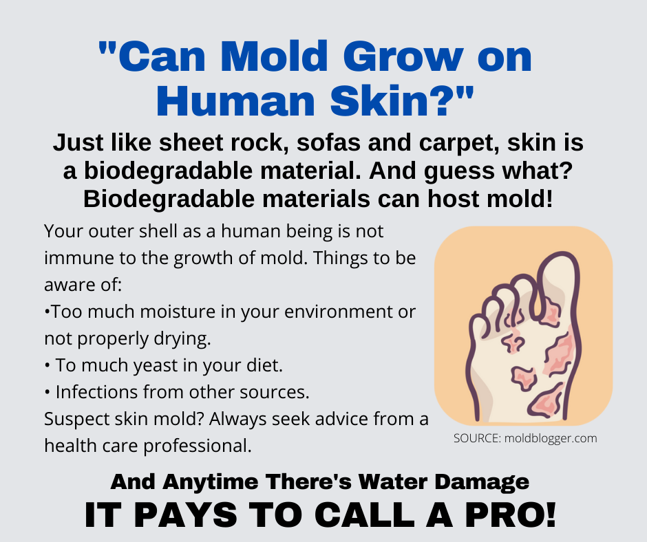 Arlington TX – Can Mold Grow on Human Skin?