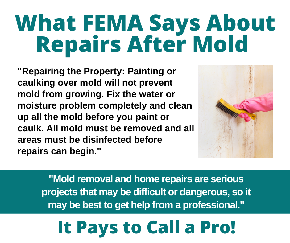 Ames IA - What FEMA Says About Repairs After Mold