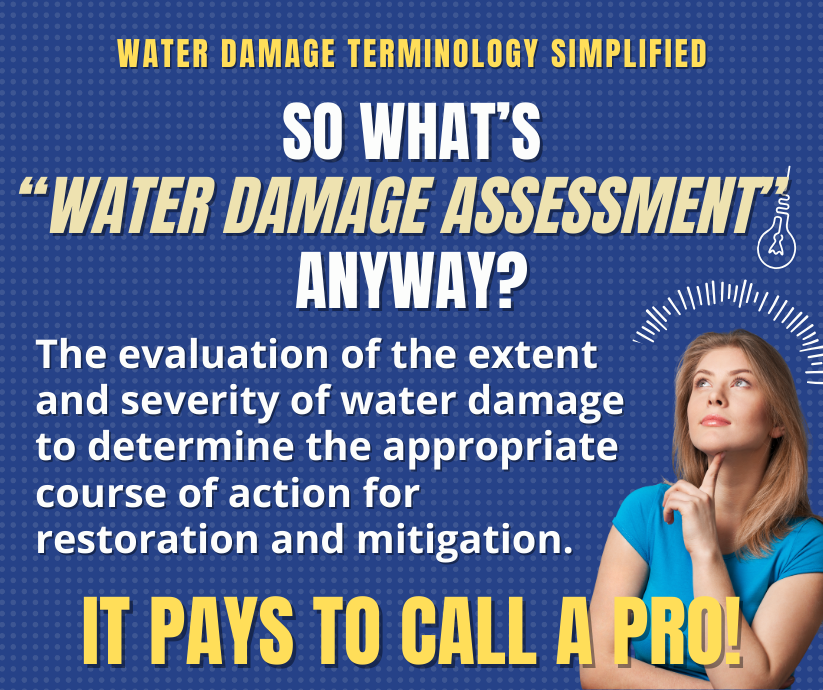 Pleasanton CA - What’s Water Damage Assessment Mean?
